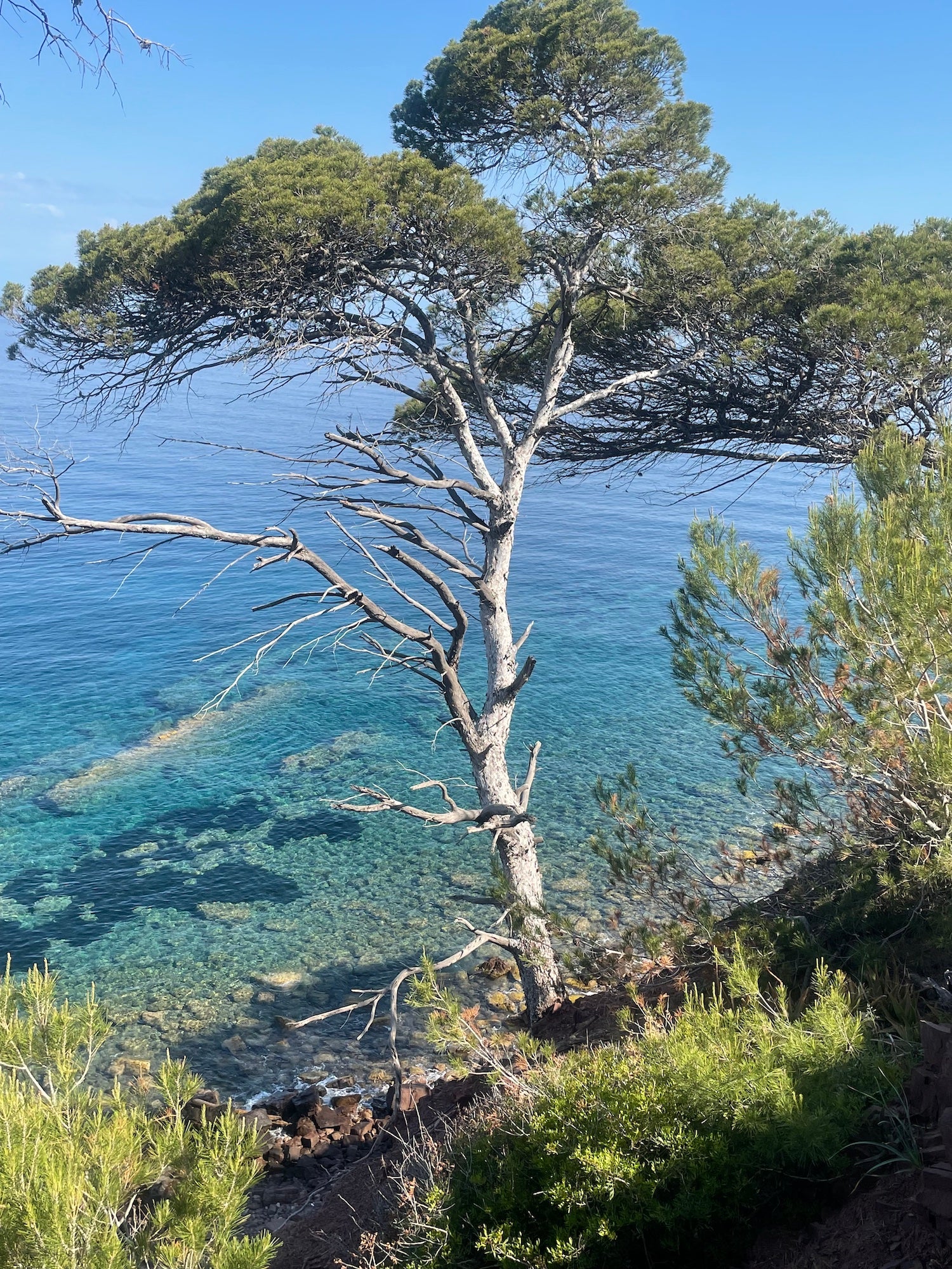 The Magic of Mallorca